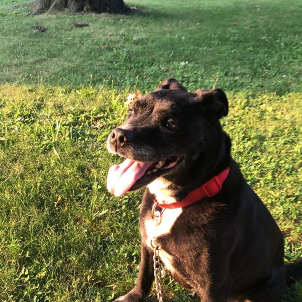 Meet your Posher, Arianna